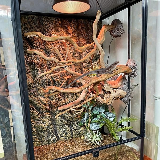 BNOSDM 2PCS Reptile Wood Branches Decor Lizard Habitat Decoration Snake Climbing Branch Accessories Terrarium Tree Trunk Ornament for Bearded Dragon Gecko Frog Chameleon Spider BNOSDM