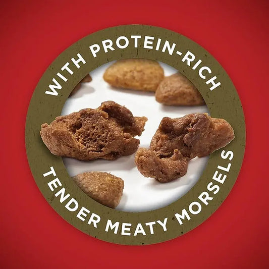 Purina ONE Dry Dog Food Lamb and Rice Formula - 16.5 lb. Bag - PAWPICO