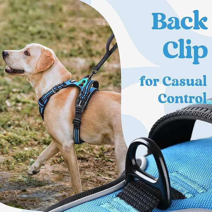 rabbitgoo Dog Harness for Large, No Pull Pet Harness with 3 Buckles, Adjustable Soft Padded Pooch Vest with Instant Control Handle, Easy Walking Reflective Pet Vest for Extra Large Dogs, Sky Blue, XL rabbitgoo