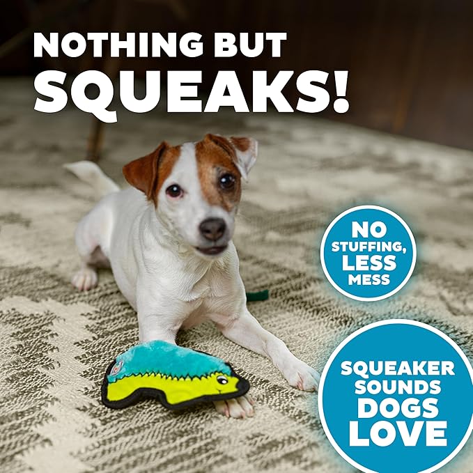 Outward Hound Durablez Tough Plush Squeaky Dog Toy, Hedgehog, Turquoise, XS - PAWPICO