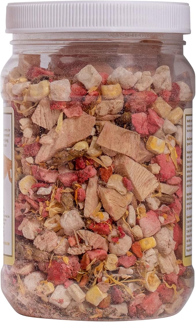 Box Turtle Food Instant Meal for Reptiles - Nutritious Turtle Food, Tortoise Habitat Accessories, Tortoise Food - Made in USA, Quick Prep - 5.07 oz (145g) HealthyHerp