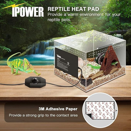 iPower 8 by 12-Inch Reptile Heat Mat with Temperature Adjustable Controller Knob, LCD Digital Aquarium Thermometer, Under Tank Warmer Terrarium Heat Pad for Reptiles and Amphibians iPower