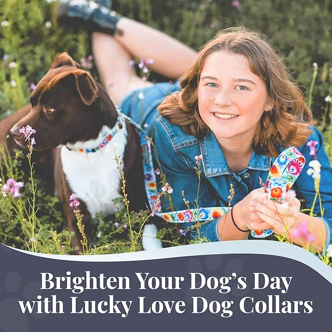 Lucky Love Dog - Adjustable Dog Collar with Easy Click Buckle for Small to Large Dogs, Durable, & Comfortable Collar for Male & Female Dogs, Pet Collar for Puppies & Adult Dogs - Ladybird, Medium LuckyLoveDog