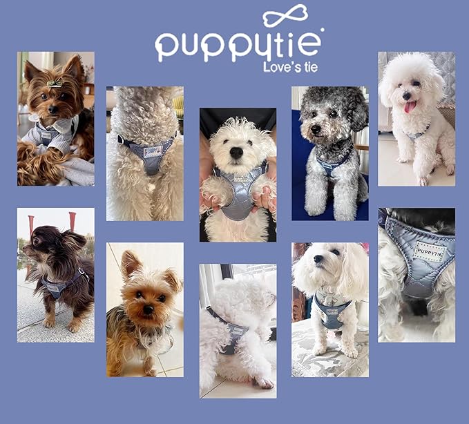 Puppytie No Pull xs Dog Harness with Multifunction Dog Leash,Soft Adjustable No Choke Escape Proof Pet Harness Vest,Glossy Sapphire Blue,XXS Puppytie