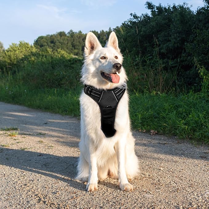 Eagloo Dog Harness Large Breed, No Pull Service Vest with Reflective Strips and Control Handle, Adjustable and Comfortable for Easy Walking, No Choke Pet Harness with 2 Metal Rings, Black, XL GoExplorewithEagloo