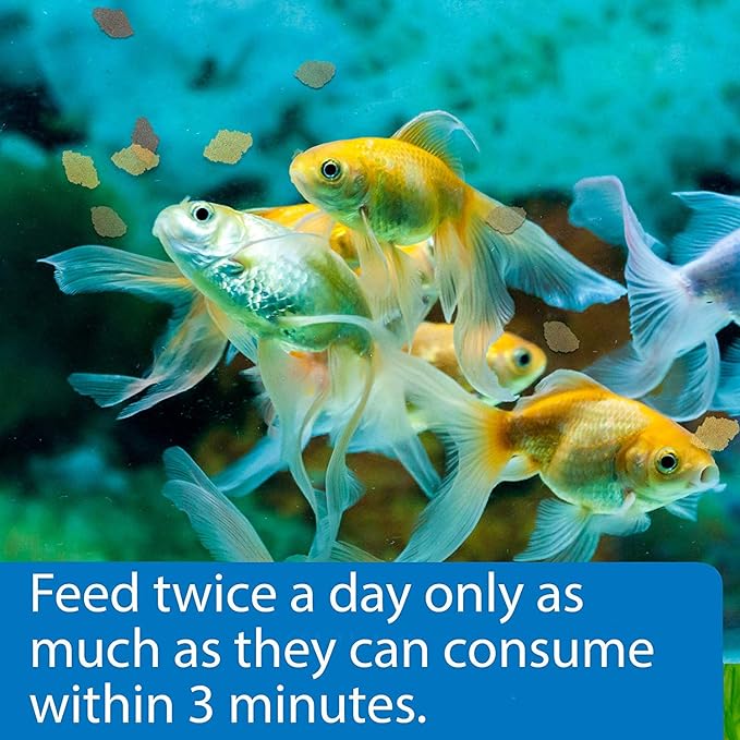 API GOLDFISH FLAKES Fish Food 1.1-Ounce Container API