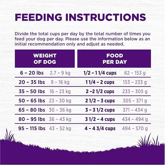 Wellness Complete Health Dry Dog Food with Grains, Natural Ingredients, Made in USA with Real Meat, All Breeds, For Adult Dogs (Chicken & Oatmeal, 15-Pound Bag) - PAWPICO