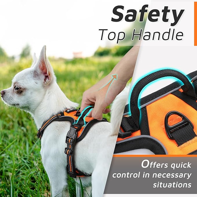 Eagloo Small Dog Harness No Pull, Service Vest with Reflective Strips and Control Handle, Adjustable and Comfortable for Easy Walking, No Choke Pet Harness with 2 Metal Rings, Orange, XS GoExplorewithEagloo