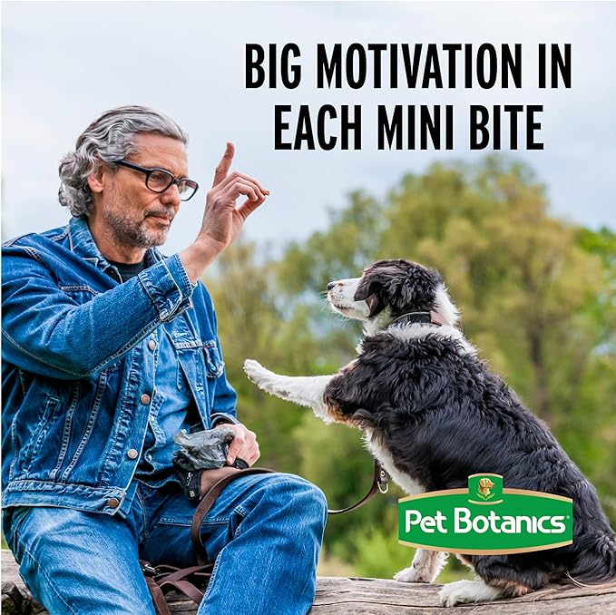 Pet Botanics Training Rewards Treats, Beef, 20 Ounces - PAWPICO
