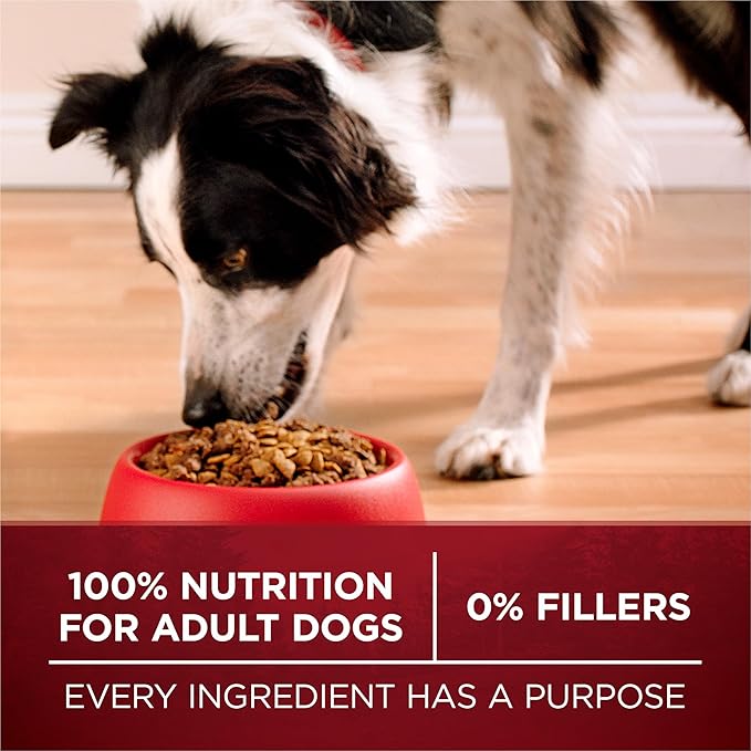 Purina ONE True Instinct High Protein Dry Dog Food Formula with Real Chicken and Duck Natural with Added Vitamins and Minerals Dog Food - 27.5 lb. Bag - PAWPICO