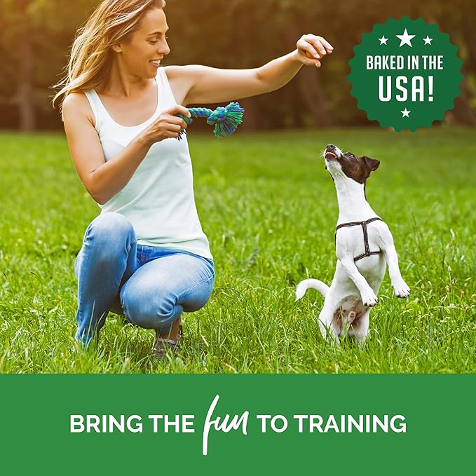 Buddy Biscuits Trainers 10 oz. Pouch of Training Bites Soft & Chewy Dog Treats Made with Chicken Flavor - PAWPICO