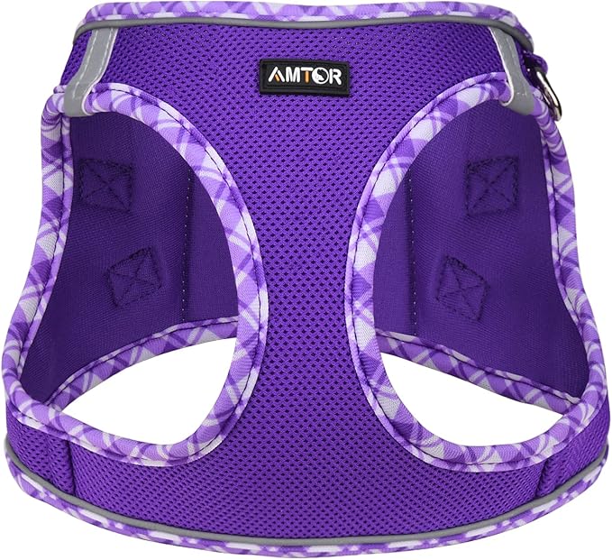 AMTOR Small Dog Harness with Leash Set, No Escape Easy Walk Puppy Harnesses for Training Walking, Step-in Reflective Soft Dogs Vest for XS S Medium Extra-Small Large Sized Dog(Purple,XXS) AMTOR