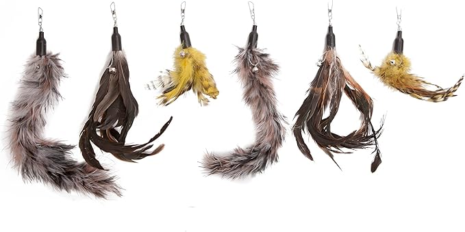 The Natural Pet Company Cat Toys Feather Refill 6 Pack - Add Life to Your Cat's Favorite Toy with This Interchangeable Feather Refill Multipack (As Photographed). - PAWPICO