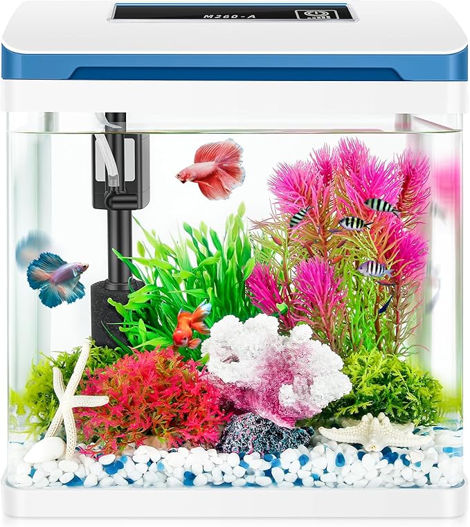 Small Fish Tank 2 Gallon Glass Aquarium Starter Kits, Desktop Betta Fish Tank Beta Fish Aquariums with Filter and Light for Betta Shrimp Guppy Jellyfish Goldfish Beta, Room Desktop Decor, Gifts Wuyusile
