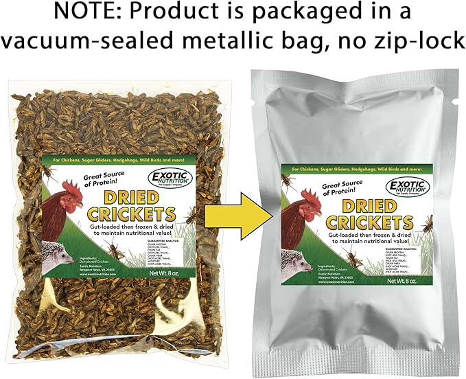 1.5 Pound Dried Crickets - High Protein Insect Treat - Chickens, Wild Birds, Hedgehogs, Bluebirds, Reptiles, Sugar Gliders, Opossums, Skunks, Lizards, Bearded Dragons, Fish, Turtles 8 oz. (3 Pack) ExoticNutrition