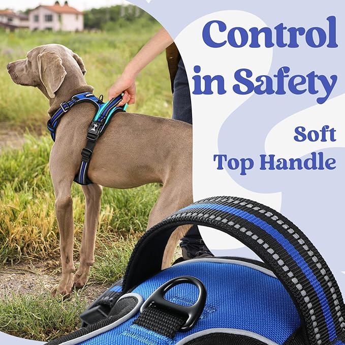 rabbitgoo Dog Harness for Large, No Pull Pet Harness with 3 Buckles, Adjustable Soft Padded Pooch Vest with Instant Control Handle, Easy Walking Reflective Pet Vest for Large Dogs, Blue, L rabbitgoo