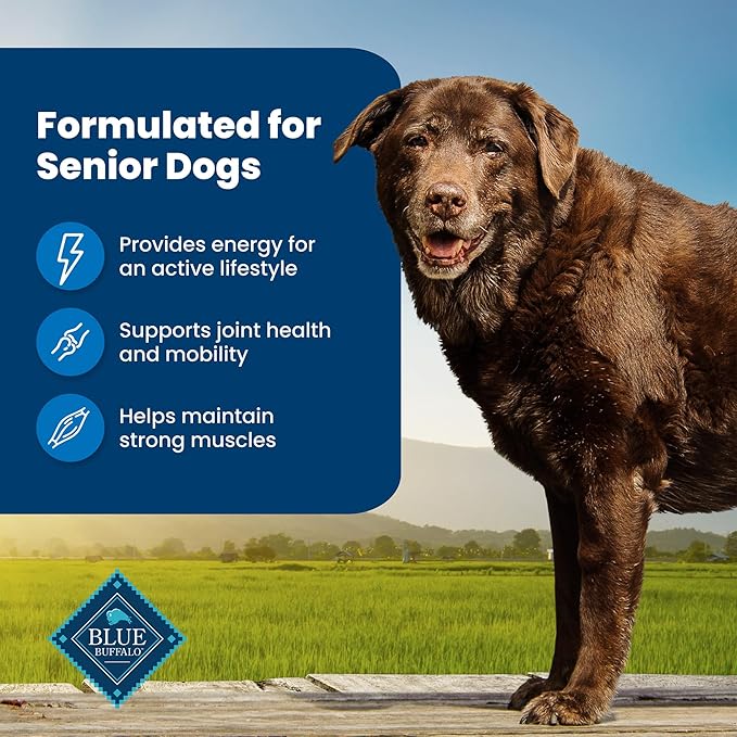 Blue Buffalo Life Protection Formula Senior Dry Dog Food, Supports Joint Health and Mobility, Made with Natural Ingredients, Chicken & Brown Rice Recipe, 5-lb. Bag - PAWPICO