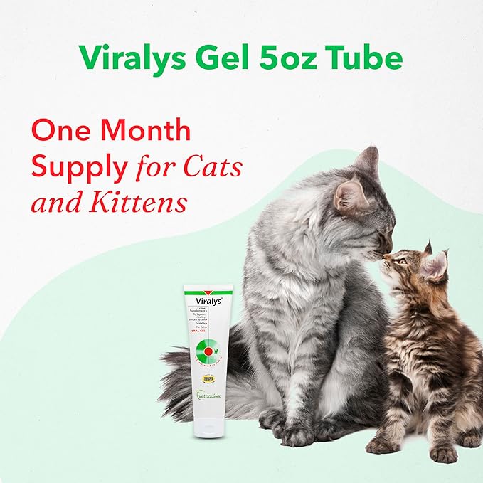 Vetoquinol Viralys Gel L-Lysine Supplement for Cats, 5oz - Cats & Kittens of All Ages - Immune Health - Sneezing, Runny Nose, Squinting, Watery Eyes - Palatable Maple Flavor Lysine Gel Vetoquinol