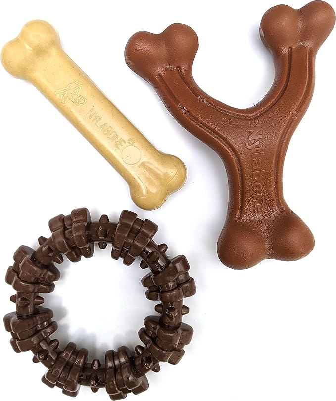 Nylabone Power Chew Customer Favorites Dog Toy Bundle, Indestructible Dog Chew Toys for Aggressive Chewers, 3 Shapes and Flavors, Flavor Medley, Small/Regular (3 Count) - PAWPICO