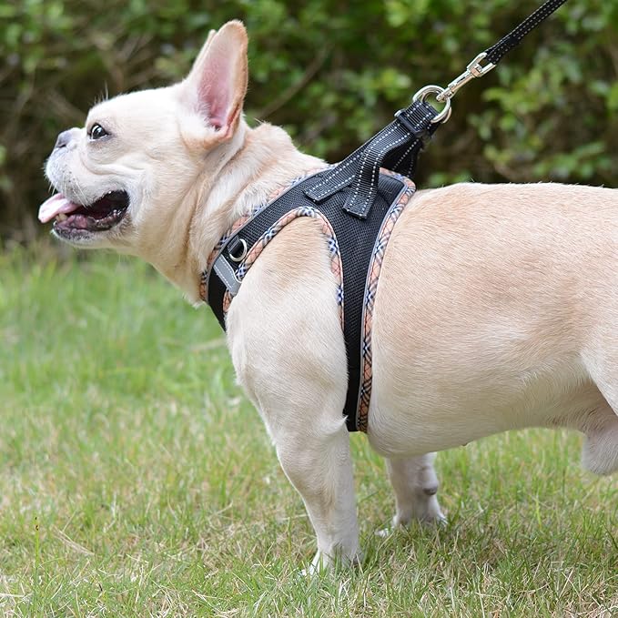 Mercano Soft Mesh Dog Harness and Leash Set, No-Chock Step-in Reflective Breathable Lightweight Easy Walk Escape Proof Vest Harnesses with Safety Buckle for Small Medium Dogs, Cats (Black Yellow, XS) PAWPICO
