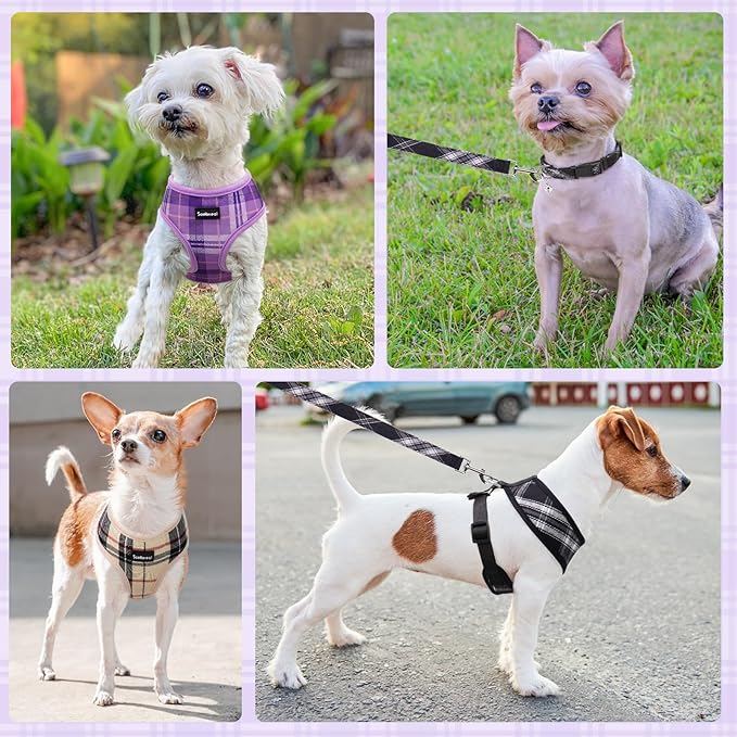 SCENEREAL No Pull Dog Harness Collar and Leash Set Small Medium Sized Dog, Soft Mesh Step in Puppy Harnesses, No Chock Plaid Adjustible Pet Vest for Outdoor Walking Training and Running, Purple XS SCENEREAL