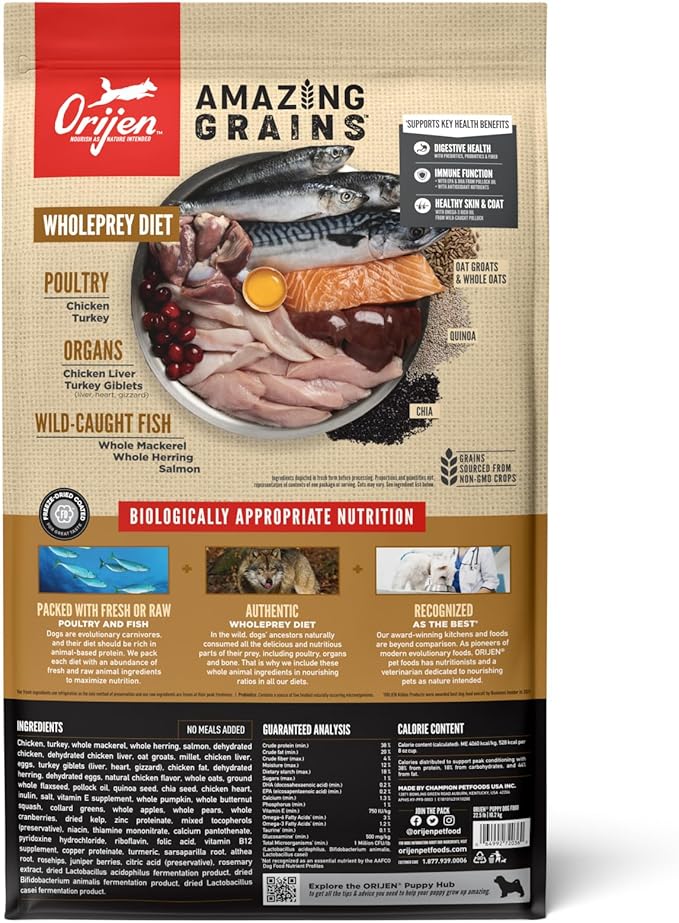 ORIJEN Amazing Grains Puppy Dry Dog Food, High Protein Dog Food for Puppies, Fresh or Raw Ingredients, 22.5lb - PAWPICO