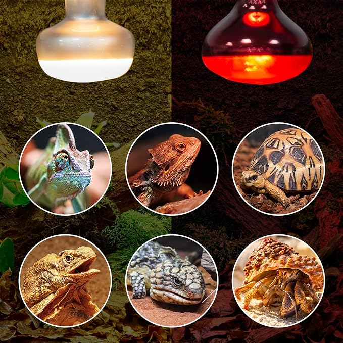REPTI ZOO 2 Pack 100W Reptile Heat Lamp Bulbs,Upgraded Reptile Day and Night Basking Spot Bulb Combo Amphibian Infrared Heat Lamp Bulb/UVA Basking Spot Daylight Heating Light Bulb REPTIZOO