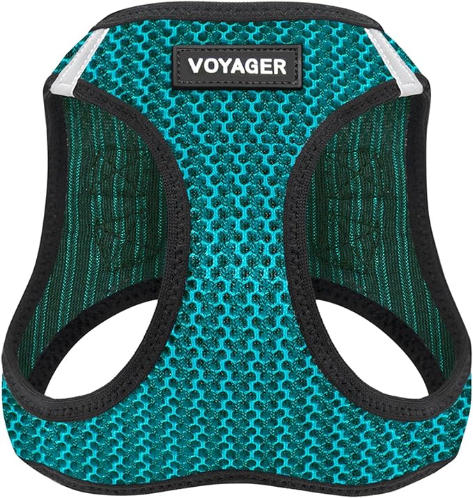 Voyager Step-in Air Dog Harness - All Weather Mesh, Reflective, No Pull Harness for Small, Medium Dogs, Cats - Secure with Hook & Loop Fastener, Buckle, Double D-Rings - Turquoise 2-Tone, L BestPetSuppliesLLC