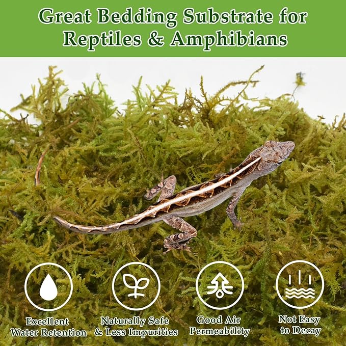 Halatool 9OZ Natural Sphagnum Moss for Reptiles- 14QT Green Live Moss for Terrarium Plants Long Fiber Reptile Moss for Leopard Gecko Snake Hamsters Tortoises Frogs Lizards Salamanders HALATOOL
