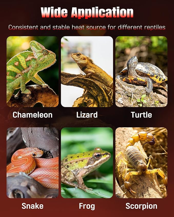 Pawfly 14 W Reptile Heat Pad 11 x 5.9 Inch Reptile Heating Pad Under Tank Terrarium Safe Fast Heating Mat Heat Mat for Turtles Frogs Snakes Lizards Geckos Hermit Crabs Spiders & Other Reptiles Pawfly