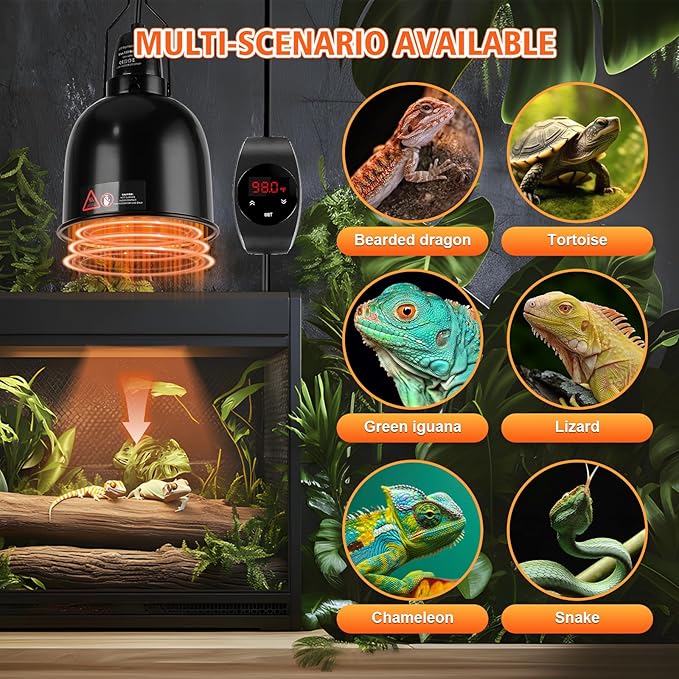 Reptile Light Fixture with Thermostatic Timer, 5.5'' Reptile Heat Lamp Fixture, Added Switch Control Function with 100W Heat Lamp Bulbs for Reptile Glass Terrariums PAWPICO