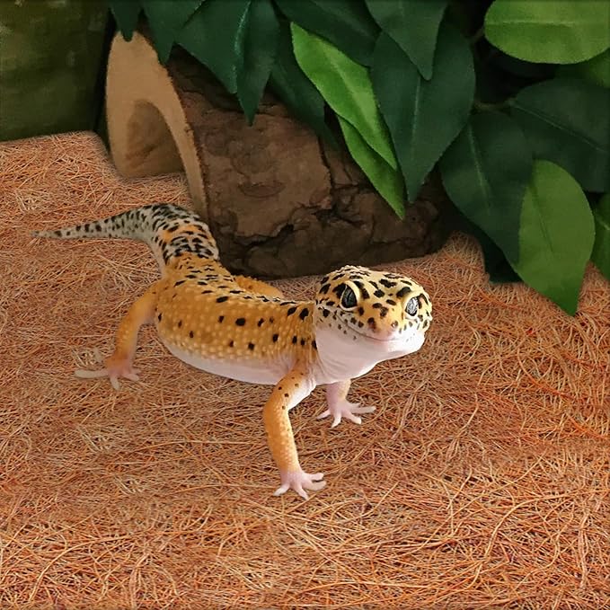 ZeeDix 3 Pieces Coconut Fiber Reptile Substrate Mat, 18 x 36 inches Natural Coco Mat Reptile Carpet Coco Fiber Liner Turtle Bedding Reptile Terrarium Liner for Lizard Snake Turtle Gecko Bearded Dragon ZeeDix