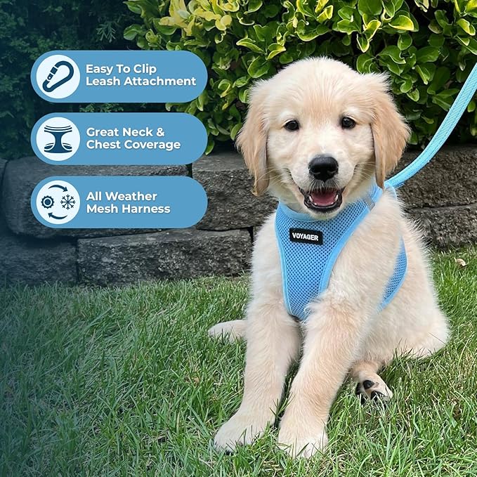 Voyager Step-in Air Dog Harness - All Weather Mesh, Reflective, No Pull Harness for Small, Medium Dogs, Cats - Secure with Hook & Loop Fastener, Buckle, Double D-Rings - Baby Blue, S BestPetSuppliesLLC