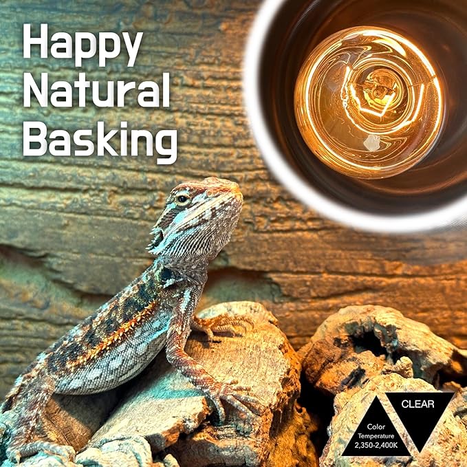 Reptile Heat Lamp, 2-Pack 100W Intense Basking Spot, 2024 G3,Reptile Basking Bulb Light, UVA Heat Lamp Bulbs for Bearded Dragon Turtle Chicken ReptiKing