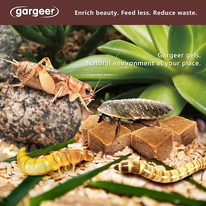 Bugs and Insects Food. Complete Gel Diet for Roaches, Crickets, Worms, Dubia, Fly, etc. Made in The USA, Using Premium Nutritional Ingredients. 8oz Powder Turns into 2 Pound of Ready Food.… Gargeer