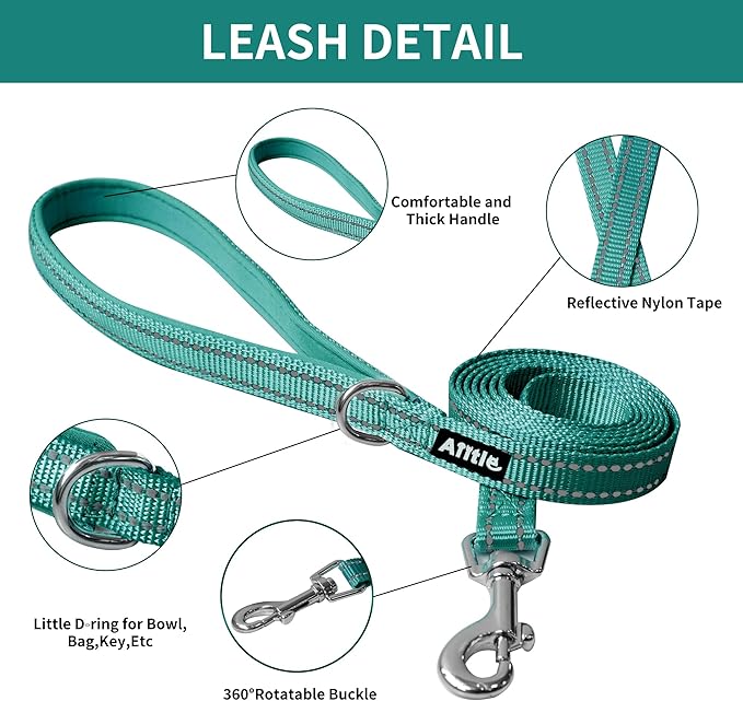 AIITLE Easy Walk Dog Harness and Leash Set - Pet Supply No Pull, Step in Adjustable Dog Harness with Padded Vest for Spring, Dog Harness No Choke Over, Easy to Put on Medium Dogs Pure Turquoise L AIITLE-FORPETSBETTERLIFE