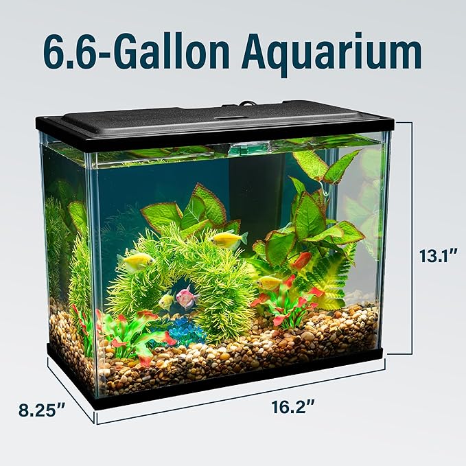 GloFish Aquarium Starter Kit, 6.6 Gallon Fish Tank, Includes Blue & White LED Lights, Tetra Whisper Bio-Bag Filter & Thermometer GloFish