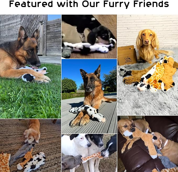 Nocciola Dog Squeaky Toys, 5 PCS Crinkle Plush Dog Toys, No Stuffing Dog Toys for Small Medium Large Dogs, Stuffless Puppy Toys for Boredom - PAWPICO
