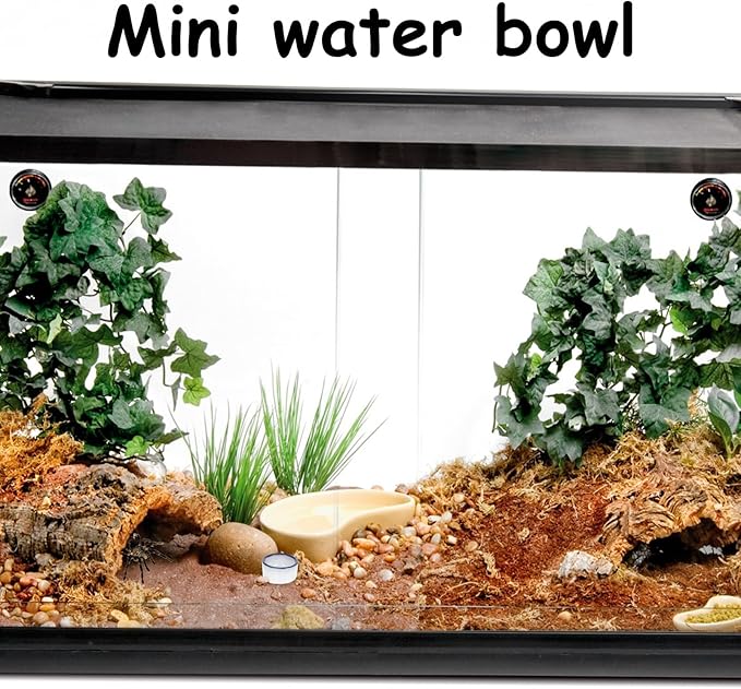 6 Pcs Spider Mini Water Bowl Tarantula Micro Ceramic Water Dish for Spider Tarantula Millipede Tiny Reptile Scorpion Cricket Snail Manti Bugs PAWPICO