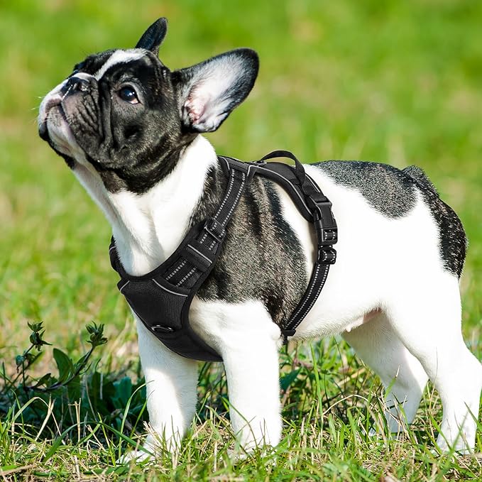 Eagloo Dog Harness Small Sized Dog, No Pull Service Vest with Reflective Strips and Control Handle, Adjustable and Comfortable for Easy Walking, No Choke Pet Harness with 2 Metal Rings, Black, S GoExplorewithEagloo