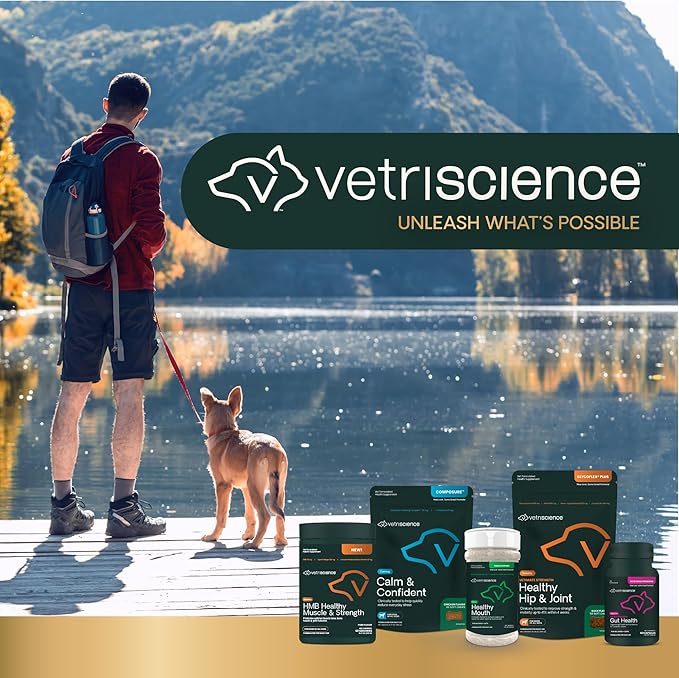 VetriScience Healthy Mouth Dog Dental Powder, Perio Support Clinically Tested Dental Supplement for Small, Medium & Large Breed Dogs, Freshen Breath, Control Plaque & Tartar, Oral Health, 4.2 oz VetriScienceLaboratories
