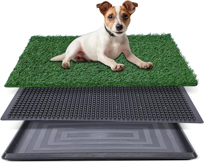 Artificial Grass for Dog Potty – 20x25 inch,Strong Absorbency Grass Pad, Dog Grass Pad with Tray, Dog Potty Training Pad, Dog Litter Box with Grass (Medium) - PAWPICO