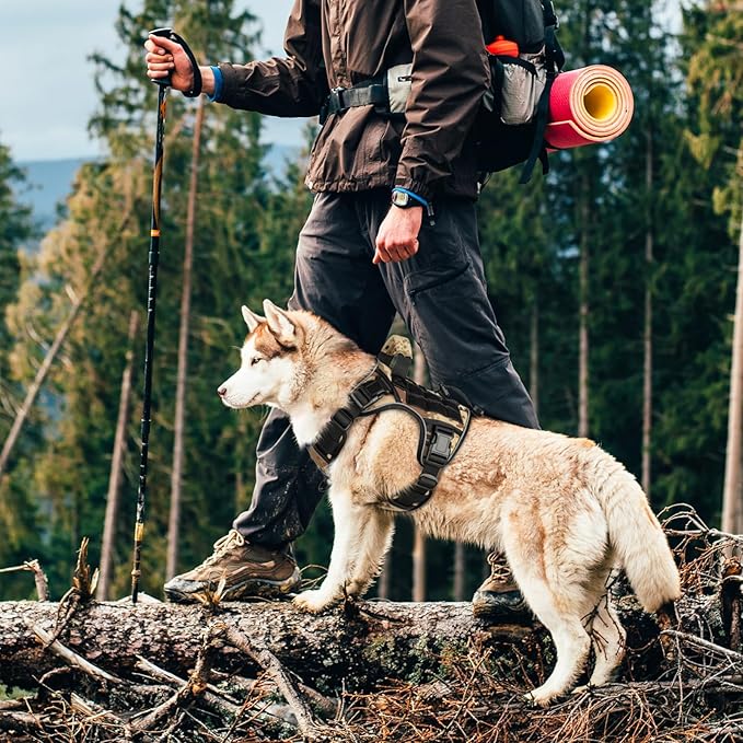 WINGOIN Tactical Dog Harness for Medium Dogs, Heavy Duty No Pull Dog Harness with Handle, Adjustable Reflective Military K9 German Shepherd Dog Vest for Training, Walking, Hiking, Camo (M) - PAWPICO