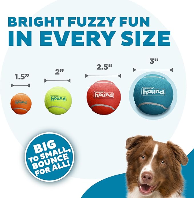 Outward Hound Squeaker Ballz Fetch Dog Toy, Large - 2 Pack - PAWPICO