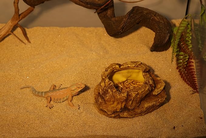 AQUA KT Reptile Food Mealworm Feeding Bowl Corn Snake Water Dish Anti Escape for Lizard Bearded Dragon Chameleon Leopard Gecko Terrarium Feeder AQUAKT