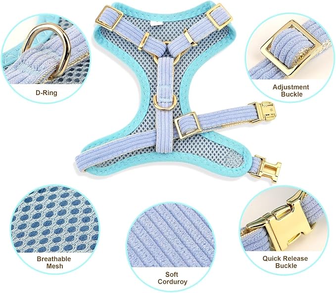 Didog Cute Small Dog Collar Harness & Leash Set, Adjustable Dog Collars and Leashes with Bowtie, Breathable Soft Mesh Padded Dog Vest for Puppies Small Dogs Walking,Blue, S Didog