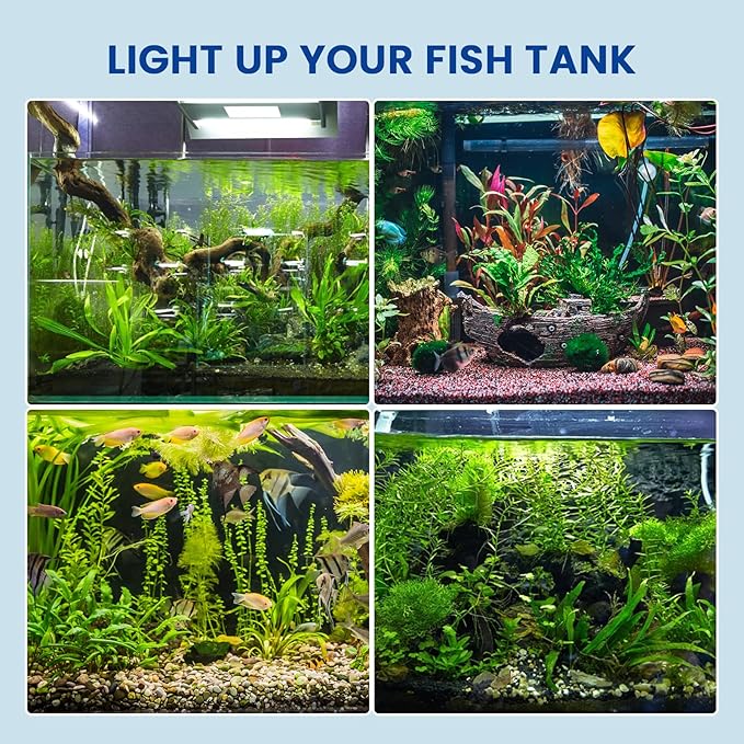 Aluxcia E26 Aquarium Light Bulbs Daylight 5500K,2-Pack(Remove/Bypass The Ballast) BBDDKEG