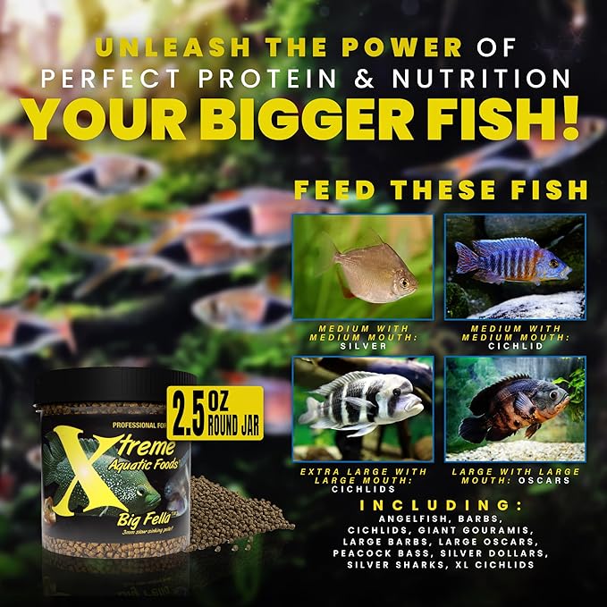 Xtreme Big Fella 3.0mm Pellets: Professional Nutrition for Medium to Large Cichlid/Community Fish - Boost Immune & Digestive Health, Color & Energy, Max Protein Fish Food – USA Farm Grown (2.5oz) XtremeAquaticFoods