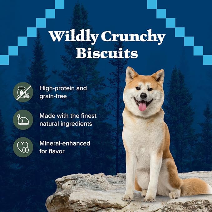 Blue Buffalo Wilderness Trail Treats High Protein Grain Free Dog Biscuits Crunchy Dog Treats, Duck Recipe, 36-oz Box - PAWPICO