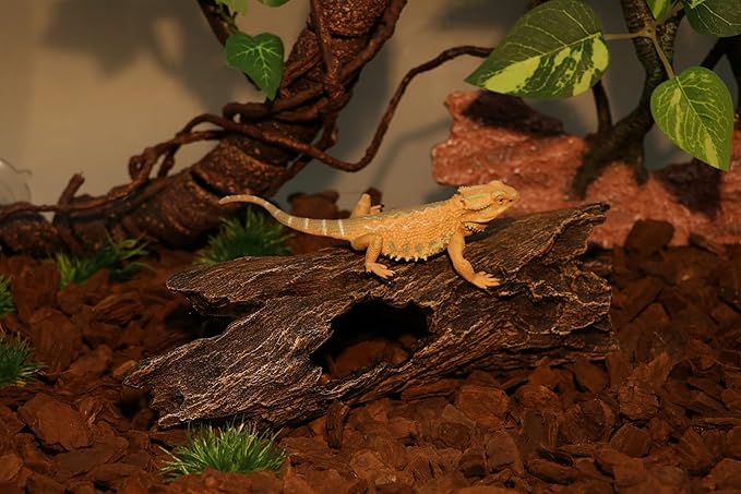 AQUA KT Reptile Hideout Tree Trunk Hollow Log Cork Bark for Lizard Bearded Dragon Snake Chameleon Hermit Crab Leopard Gecko Terrarium Habitat Decoration AQUAKT